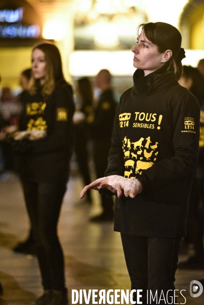 Cause animale : Journée internationale sans viande. Action L214   l élevage tue  . Animals rights.