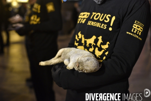 Cause animale : Journée internationale sans viande. Action L214   l élevage tue  . Animals rights.