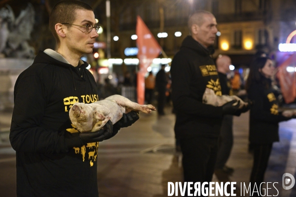 Cause animale : Journée internationale sans viande. Action L214   l élevage tue  . Animals rights.