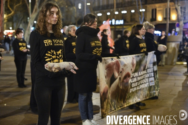 Cause animale : Journée internationale sans viande. Action L214   l élevage tue  . Animals rights.