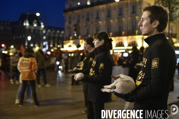 Cause animale : Journée internationale sans viande. Action L214   l élevage tue  . Animals rights.