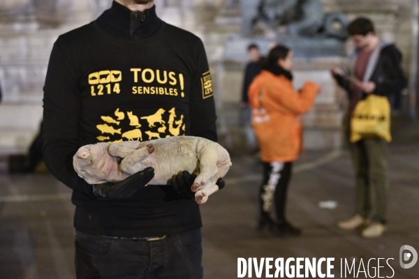 Cause animale : Journée internationale sans viande. Action L214   l élevage tue  . Animals rights.