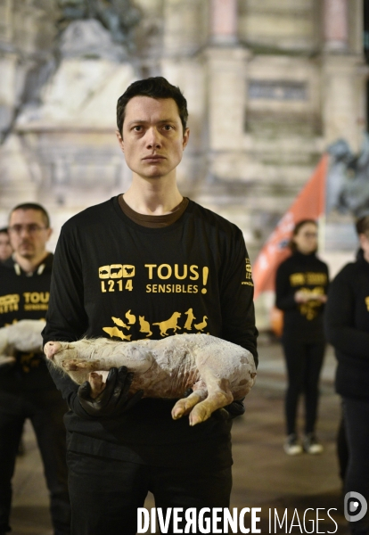 Cause animale : Journée internationale sans viande. Action L214   l élevage tue  . Animals rights.