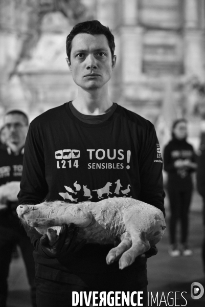 Cause animale : Journée internationale sans viande. Action L214   l élevage tue  . Animals rights.