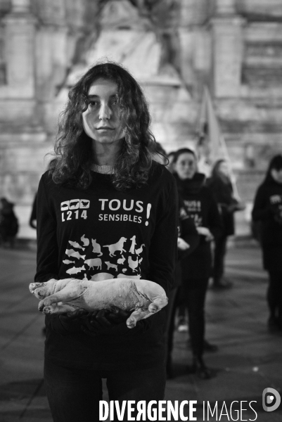 Cause animale : Journée internationale sans viande. Action L214   l élevage tue  . Animals rights.