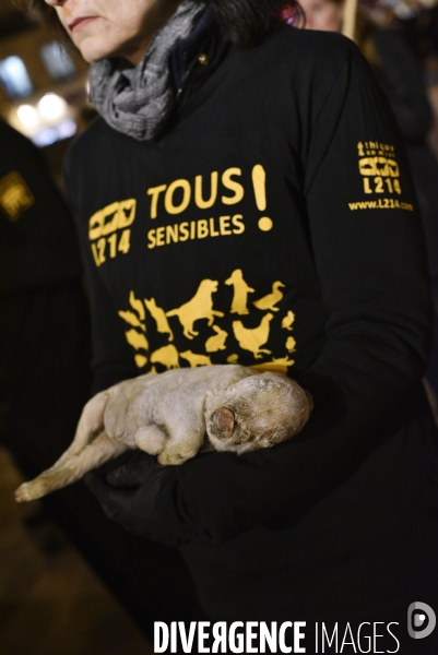 Cause animale : Journée internationale sans viande. Action L214   l élevage tue  . Animals rights.