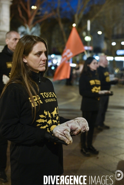 Cause animale : Journée internationale sans viande. Action L214   l élevage tue  . Animals rights.