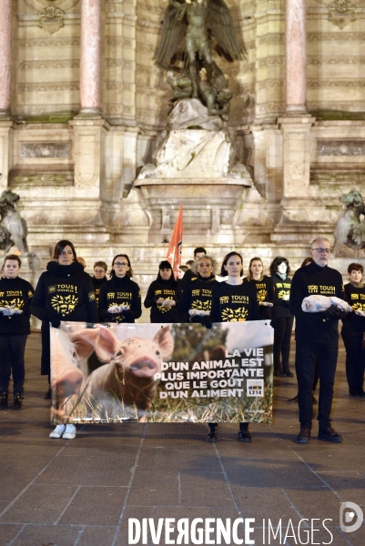 Cause animale : Journée internationale sans viande. Action L214   l élevage tue  . Animals rights.