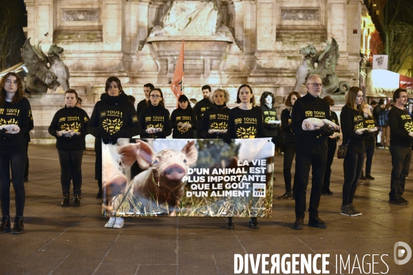 Cause animale : Journée internationale sans viande. Action L214   l élevage tue  . Animals rights.