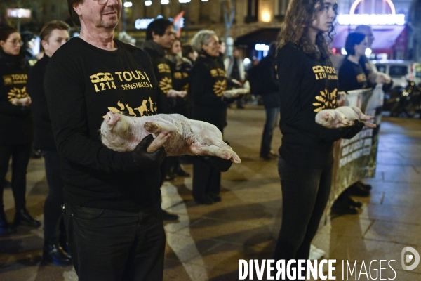 Cause animale : Journée internationale sans viande. Action L214   l élevage tue  . Animals rights.