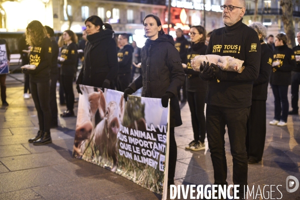 Cause animale : Journée internationale sans viande. Action L214   l élevage tue  . Animals rights.