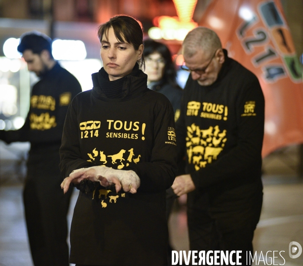 Cause animale : Journée internationale sans viande. Action L214   l élevage tue  . Animals rights.