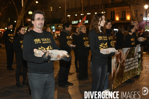 Cause animale : Journée internationale sans viande. Action L214   l élevage tue  . Animals rights.