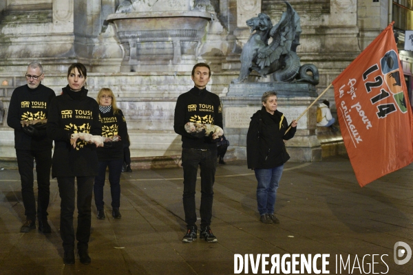 Cause animale : Journée internationale sans viande. Action L214   l élevage tue  . Animals rights.