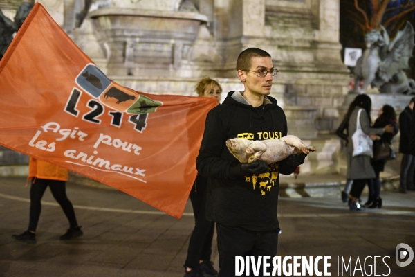 Cause animale : Journée internationale sans viande. Action L214   l élevage tue  . Animals rights.