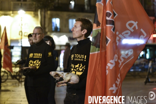 Cause animale : Journée internationale sans viande. Action L214   l élevage tue  . Animals rights.