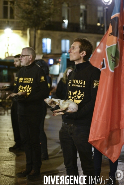 Cause animale : Journée internationale sans viande. Action L214   l élevage tue  . Animals rights.