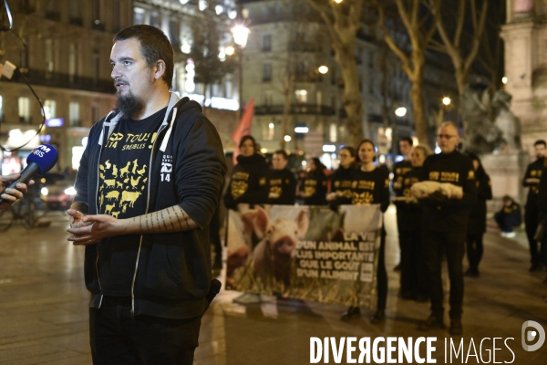 Cause animale : Journée internationale sans viande. Action L214   l élevage tue  . Animals rights.