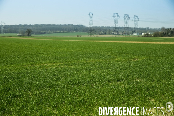 Les Potagers de Marcoussis, entreprise solidaire d utilité sociale de maraichage bio et conserverie.