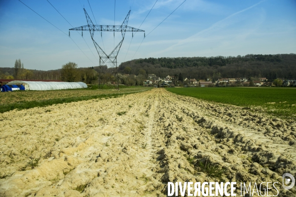 Les Potagers de Marcoussis, entreprise solidaire d utilité sociale de maraichage bio et conserverie.