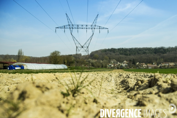 Les Potagers de Marcoussis, entreprise solidaire d utilité sociale de maraichage bio et conserverie.