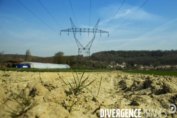 Les Potagers de Marcoussis, entreprise solidaire d utilité sociale de maraichage bio et conserverie.