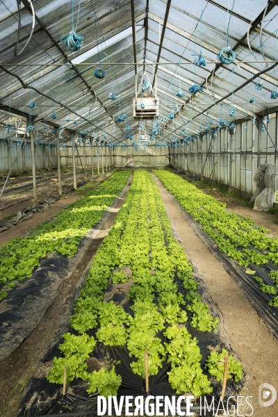 Les Potagers de Marcoussis, entreprise solidaire d utilité sociale de maraichage bio et conserverie.