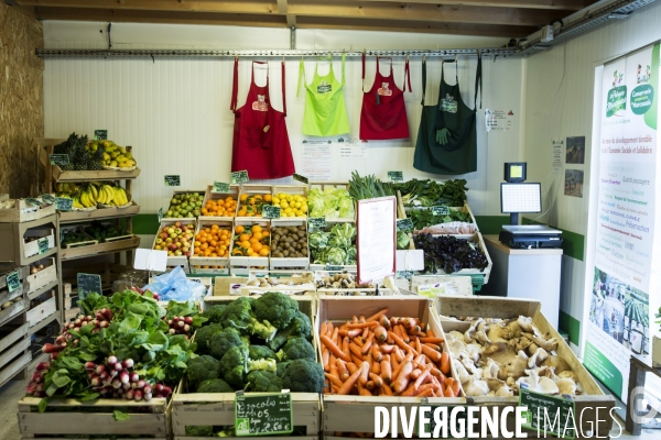 Les Potagers de Marcoussis, entreprise solidaire d utilité sociale de maraichage bio et conserverie.