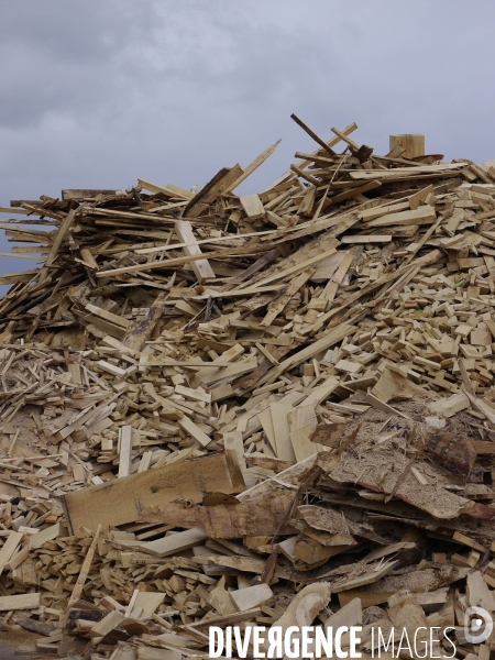 Filière Bois face à la Chine