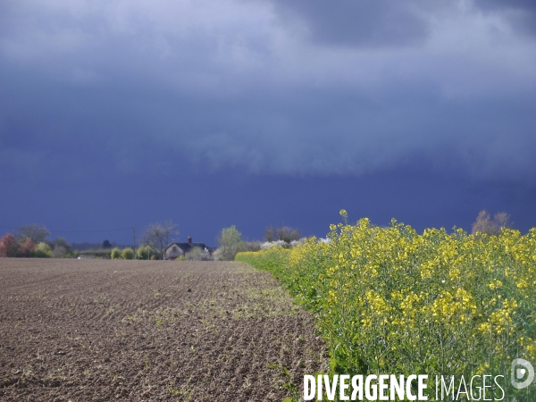 Printemps et giboulées