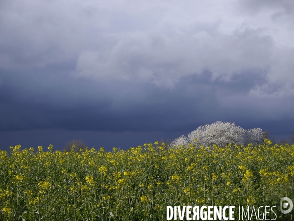 Printemps et giboulées