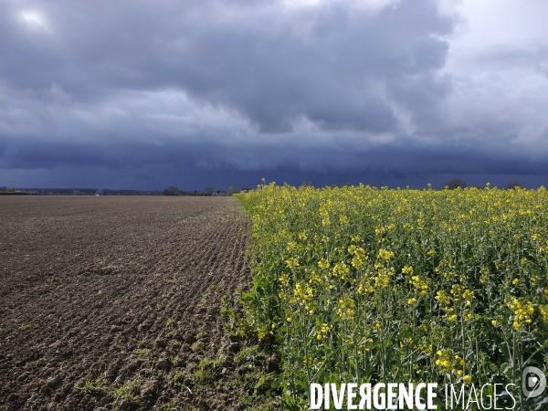Printemps et giboulées