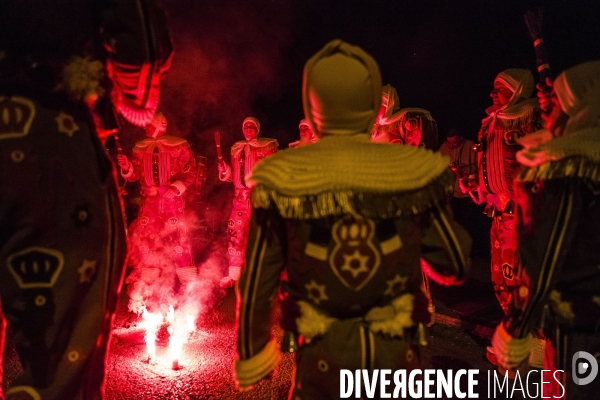 Carnaval de La Louvière.