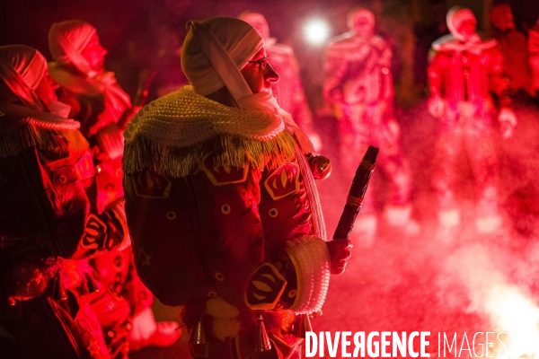 Carnaval de La Louvière.