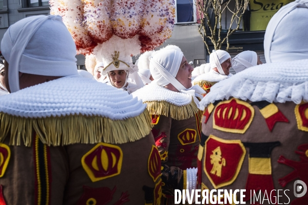 Carnaval de La Louvière.