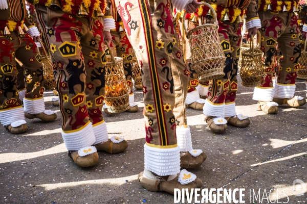 Carnaval de La Louvière.