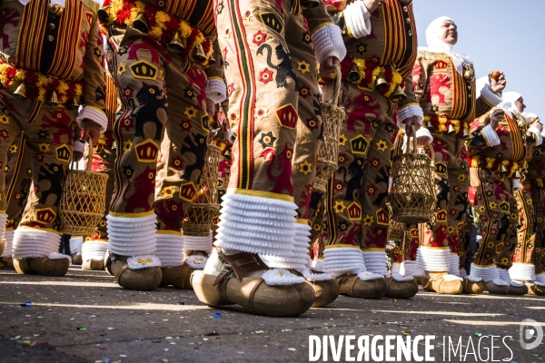 Carnaval de La Louvière.