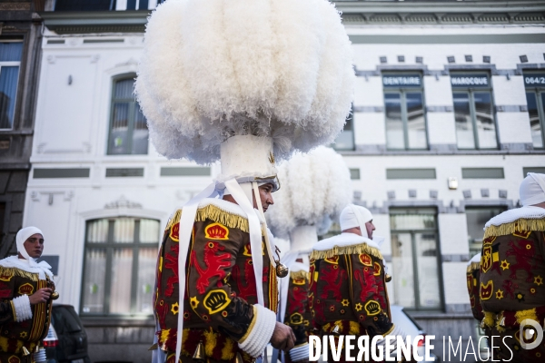 Carnaval de La Louvière.