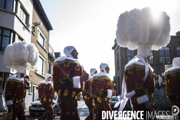 Carnaval de La Louvière.