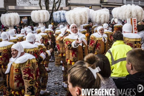 Carnaval de La Louvière.