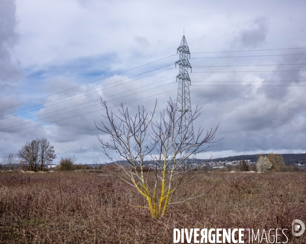 Dépôt sauvage de déchets