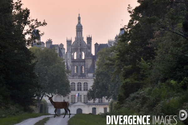 Le Château de Chambord, joyau de la Renaissance