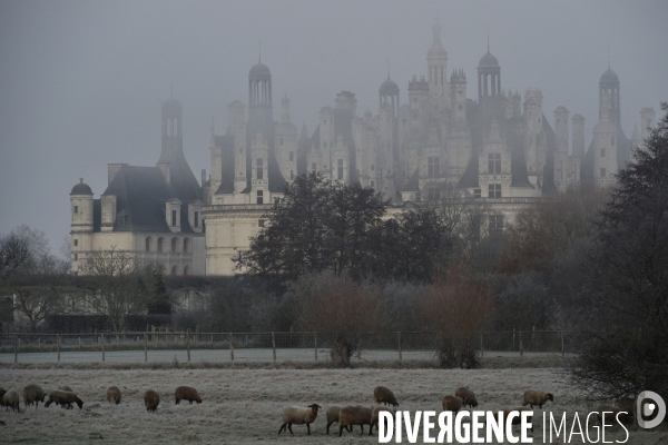 Le Château de Chambord, joyau de la Renaissance