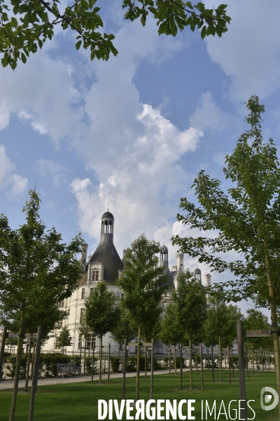 Le Château de Chambord, joyau de la Renaissance