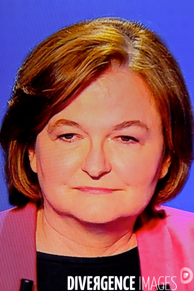 A l écran, L Emission politique. Elections européennes.