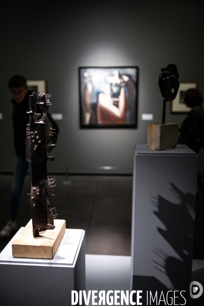 Toulouse : exposition picasso au musee des Abattoirs