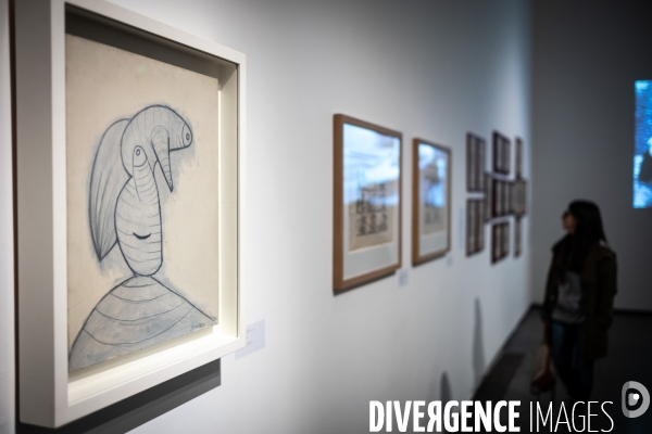 Toulouse : exposition picasso au musee des Abattoirs