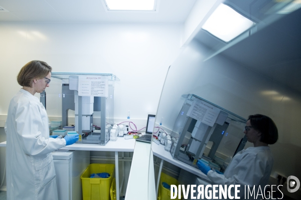 Activité de l équipe d Ana Buj Bello au sein du laboratoire Genethon.