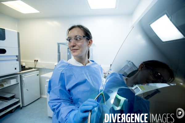 Activité de l équipe d Ana Buj Bello au sein du laboratoire Genethon.