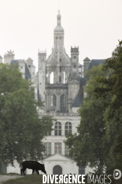 Le Domaine National de Chambord fête ses 500 ans